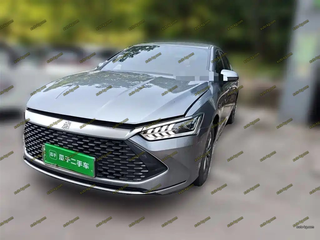 BYD Qin PLUS 2024