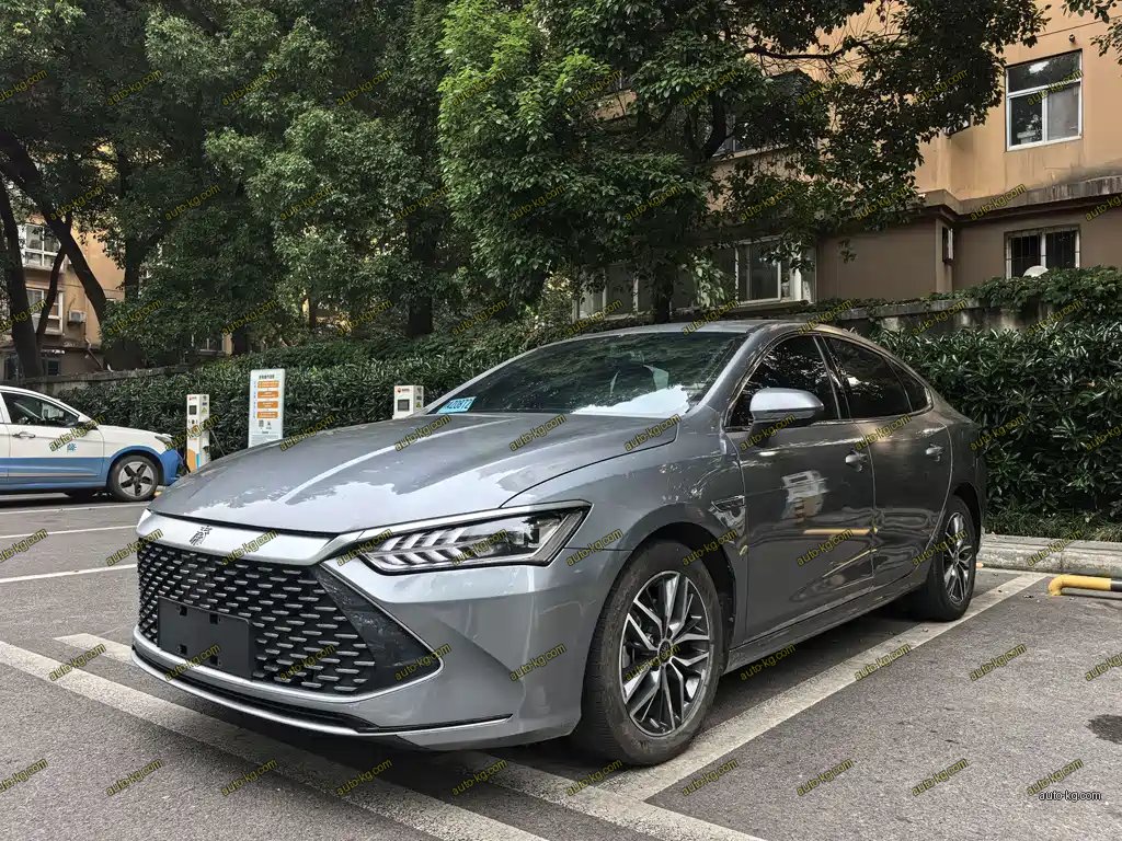 BYD Qin PLUS 2022