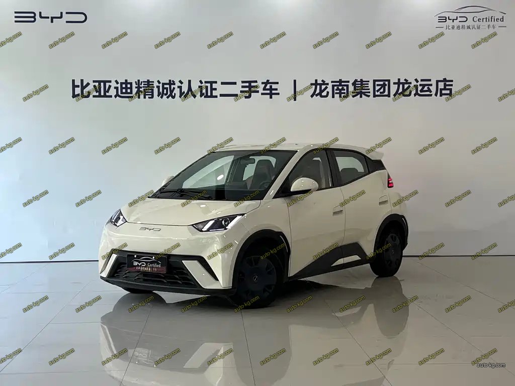 BYD Seagull 2024