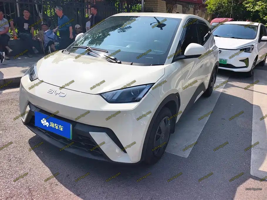 BYD Seagull 2024
