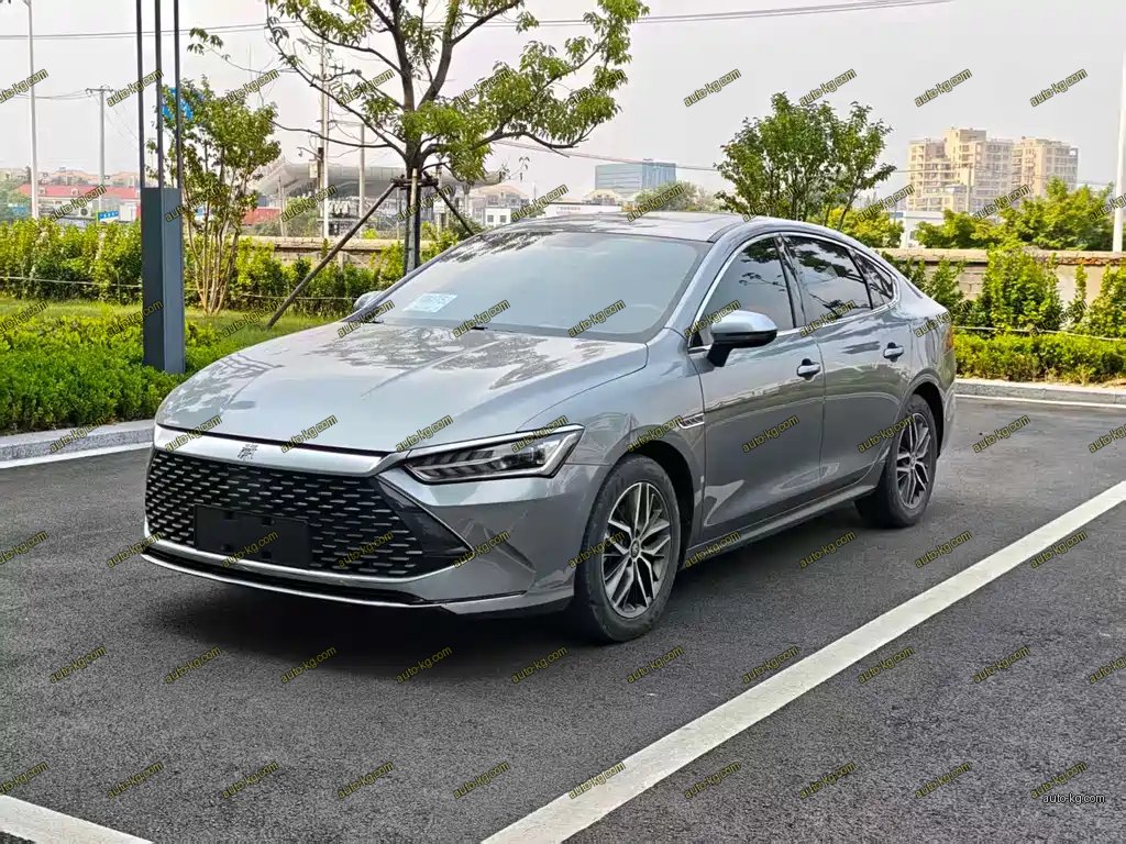 BYD Qin PLUS 2022