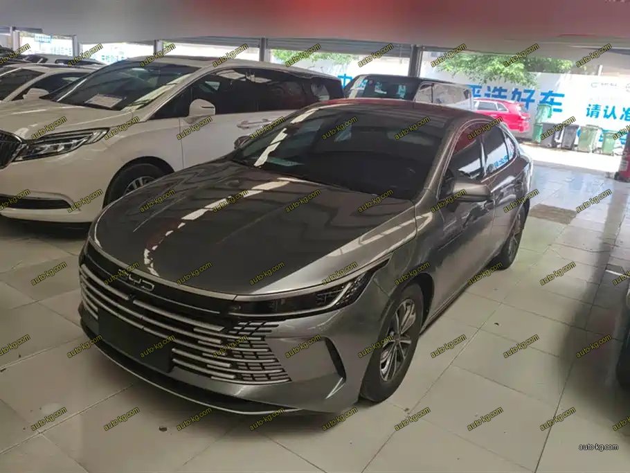 BYD Destroyer 05 2024