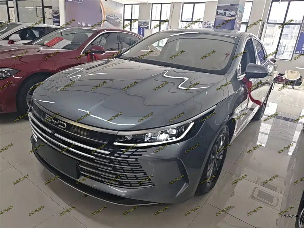 BYD Destroyer 05 2024