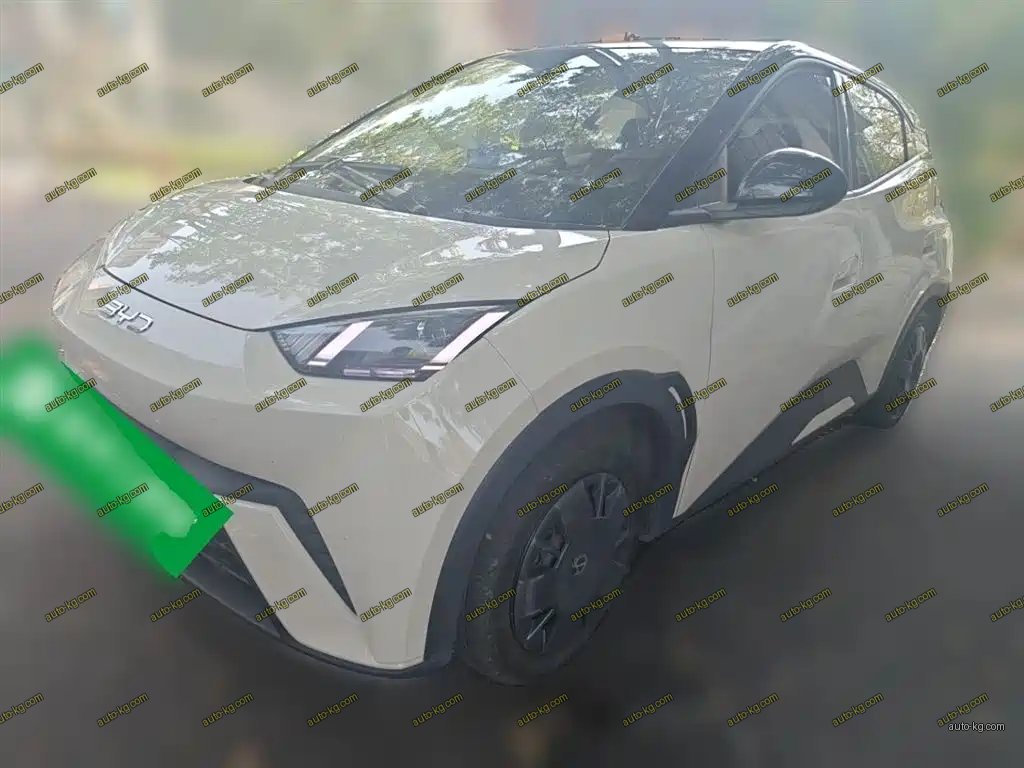 BYD Seagull 2024