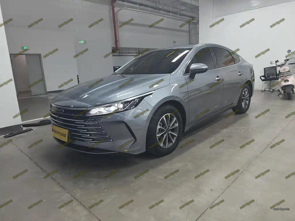 BYD Destroyer 05 2024