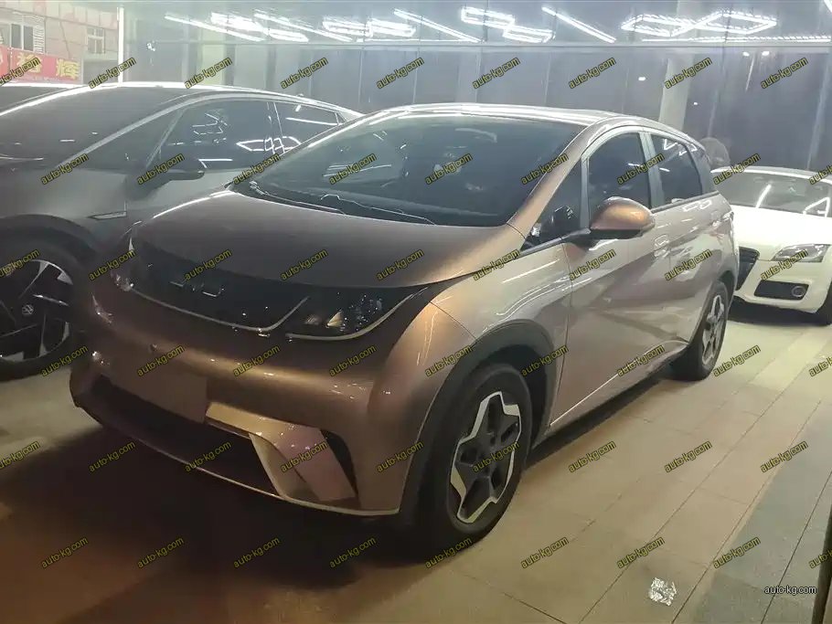 BYD Dolphin 2022