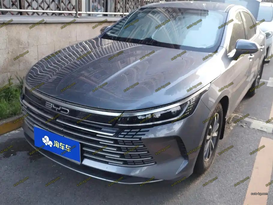 BYD Destroyer 05 2024