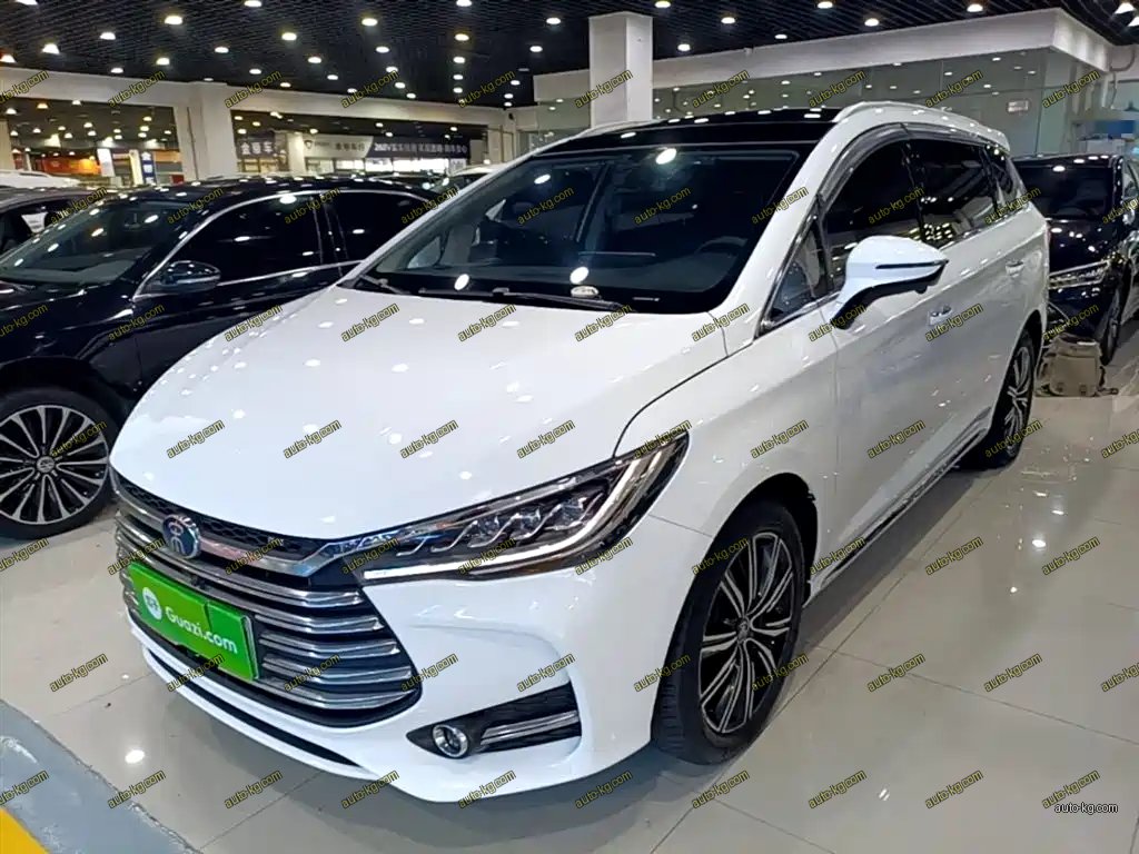 BYD MAX New Energy 2020