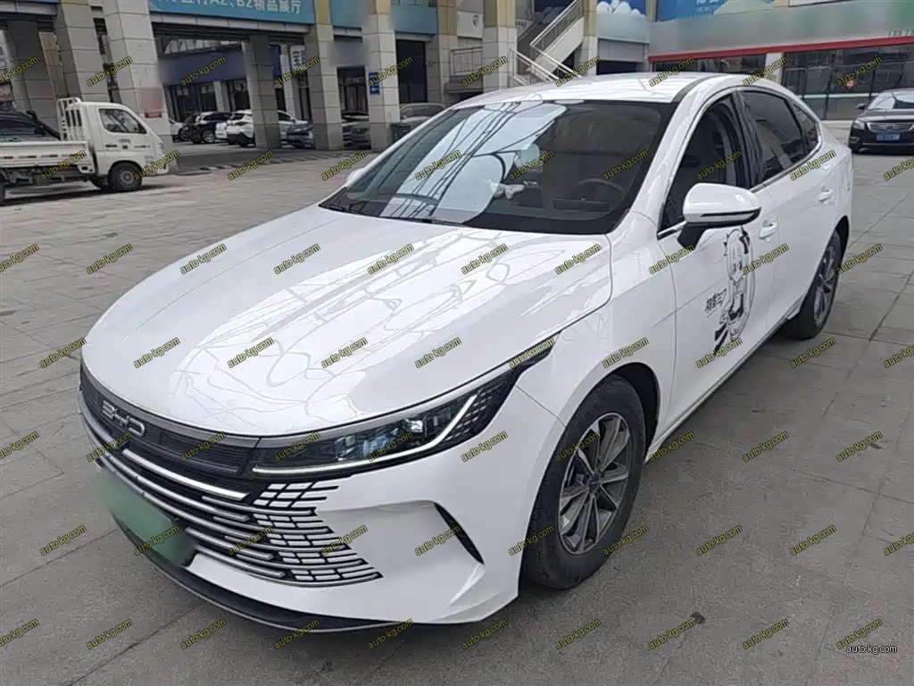 BYD Destroyer 05 2024