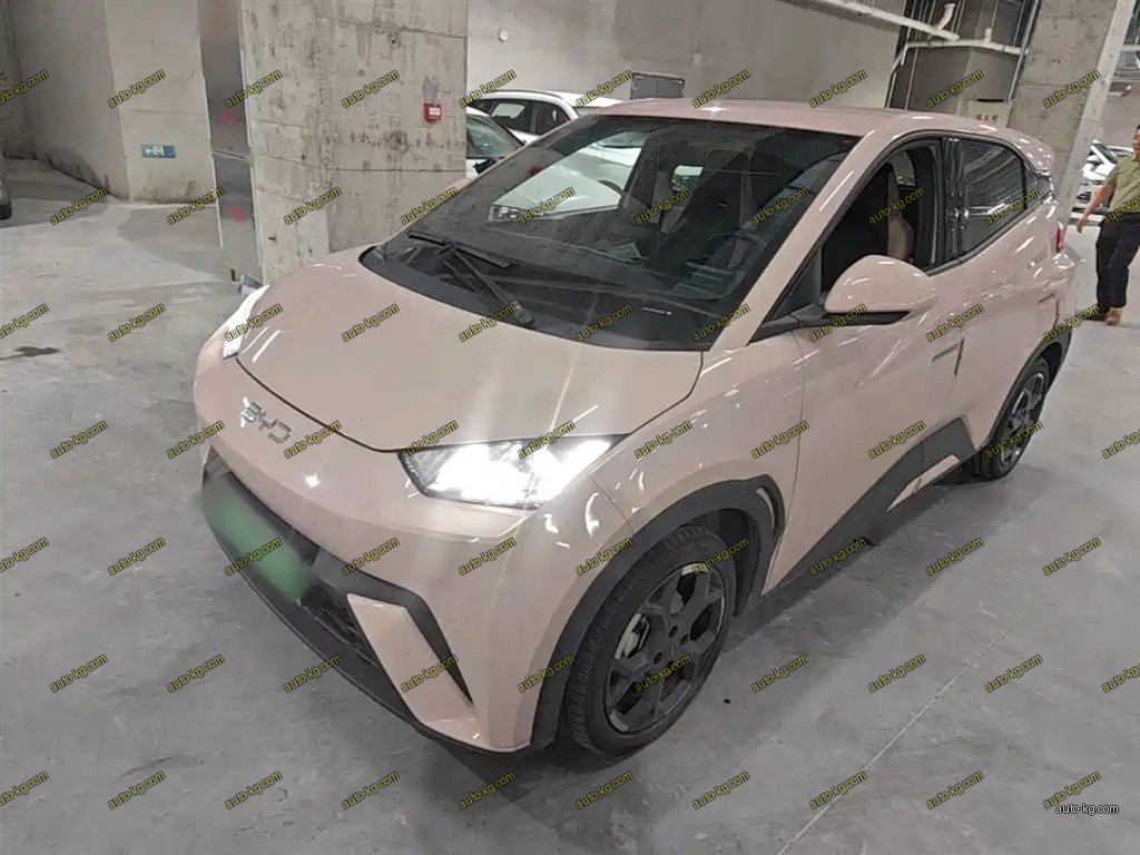 BYD Seagull 2024