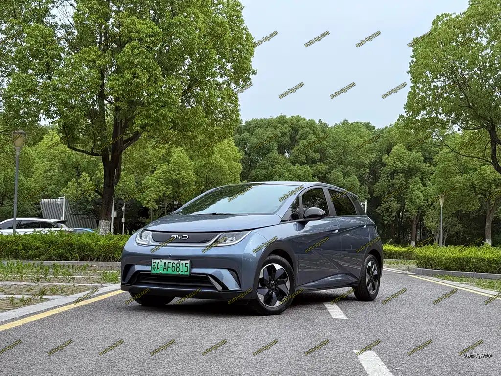 BYD Dolphin 2024