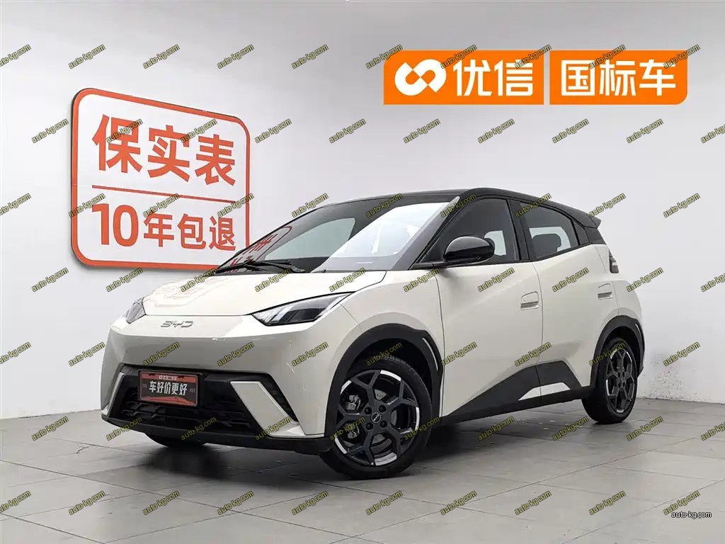 BYD Seagull 2024