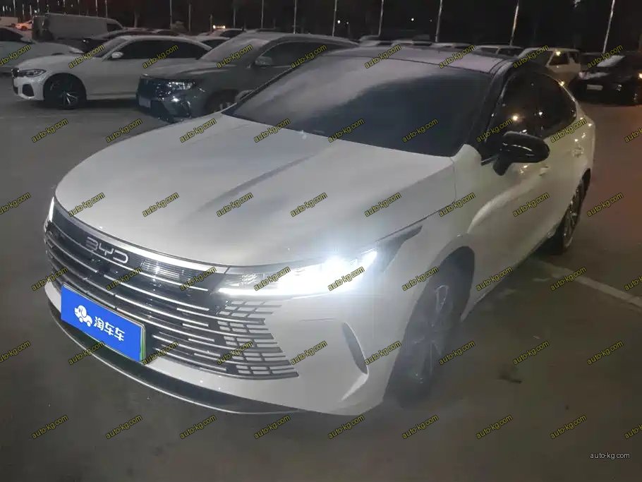 BYD Destroyer 05 2024