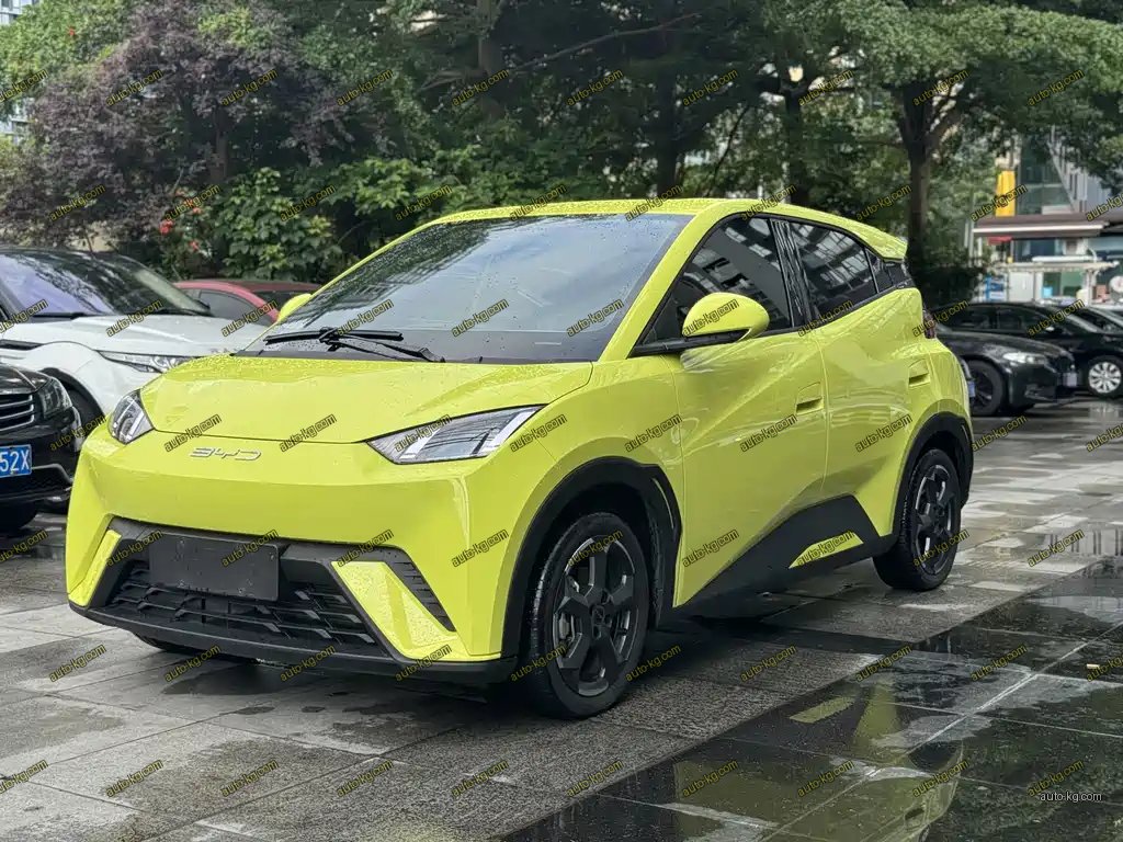 BYD Seagull 2023