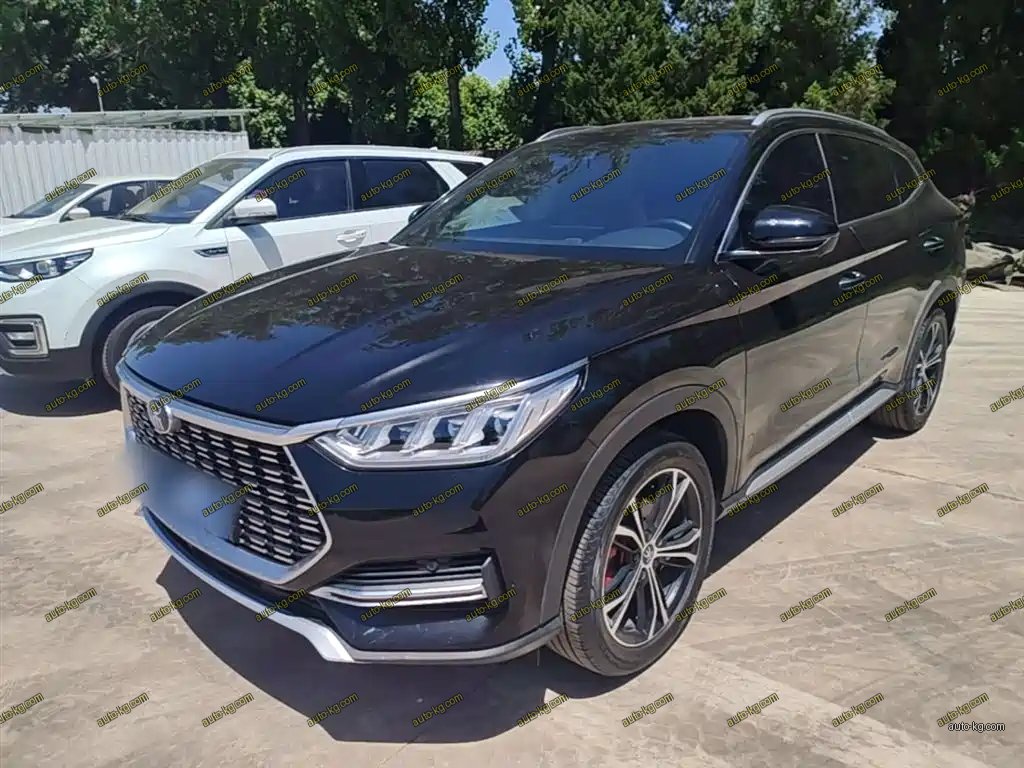 BYD PLUS 2021