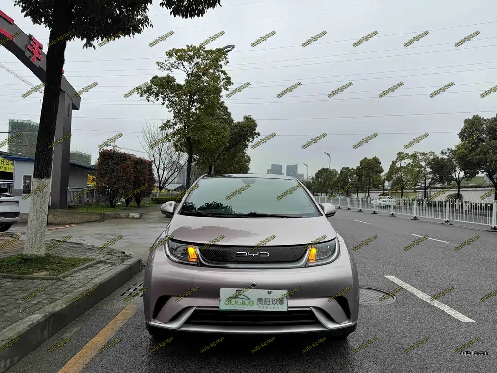 BYD Dolphin 2023