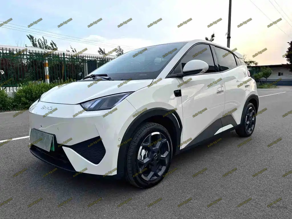 BYD Seagull 2025