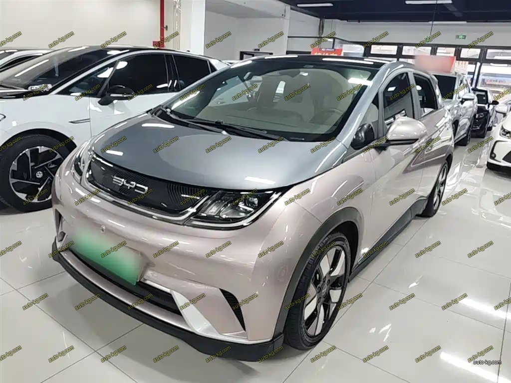 BYD Dolphin 2022