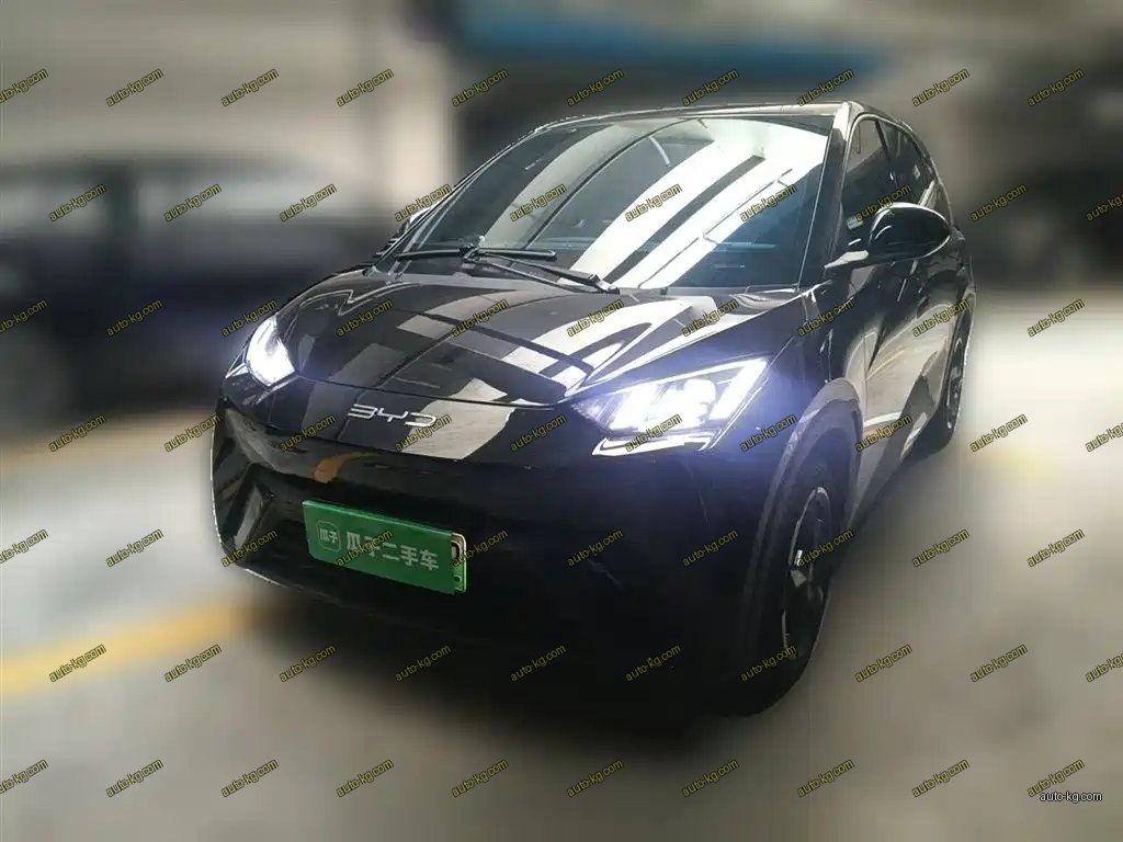 BYD Seagull 2024
