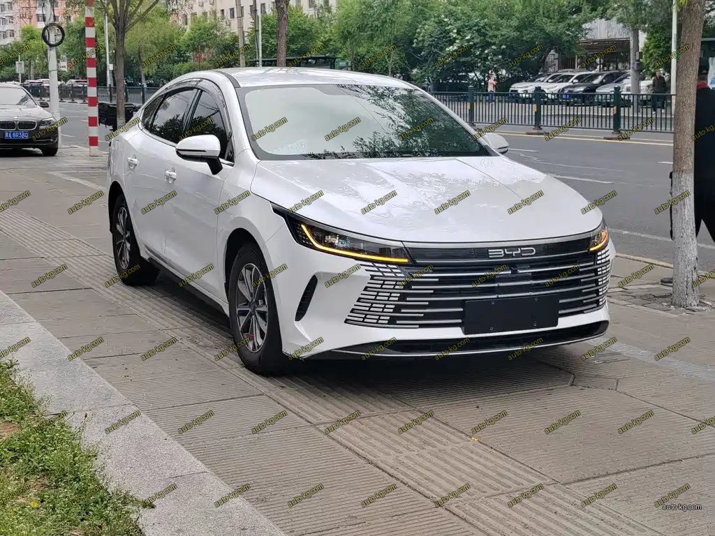 BYD Destroyer 05 2025