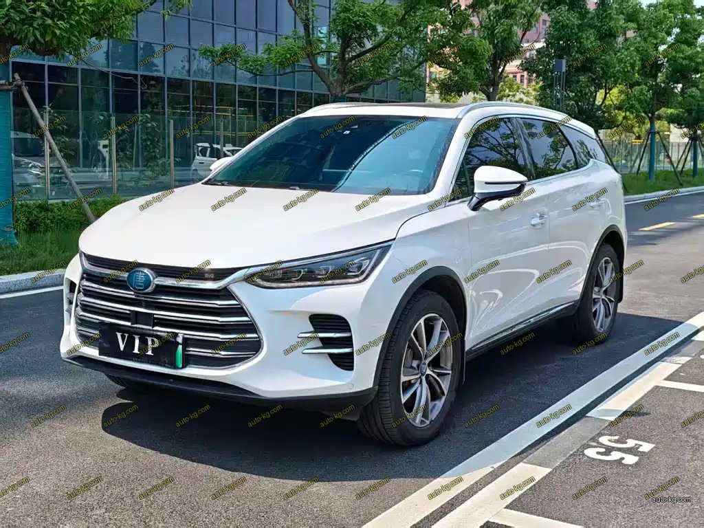BYD Tang New Energy 2021
