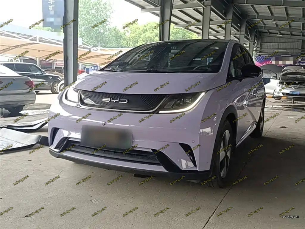 BYD Dolphin 2023