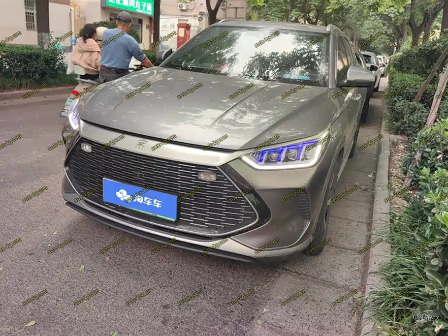 BYD PLUS New Energy 2021