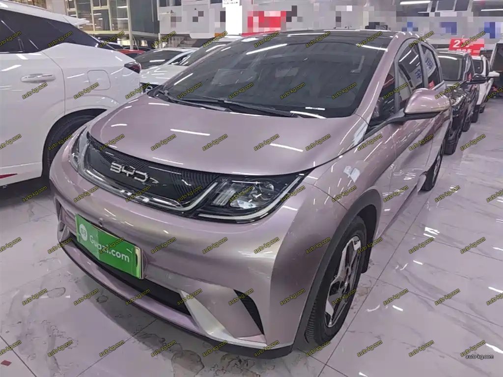 BYD Dolphin 2022