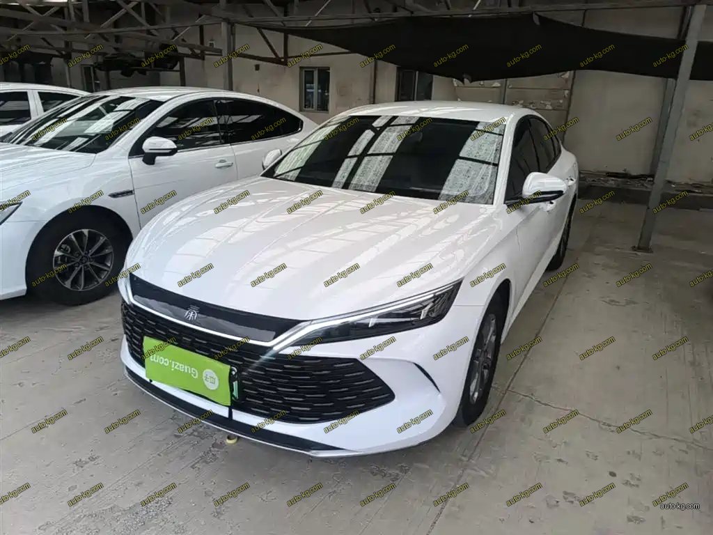 BYD Qin L 2024