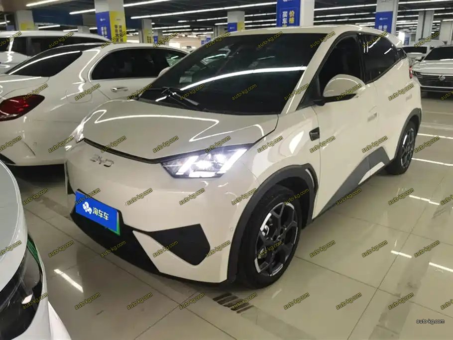BYD Seagull 2025