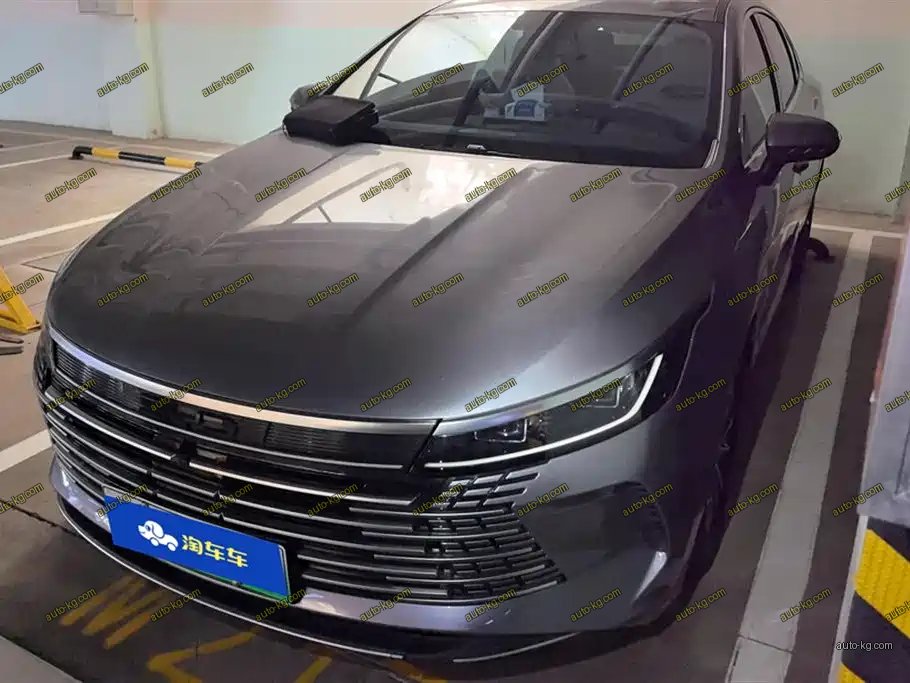BYD Destroyer 05 2024
