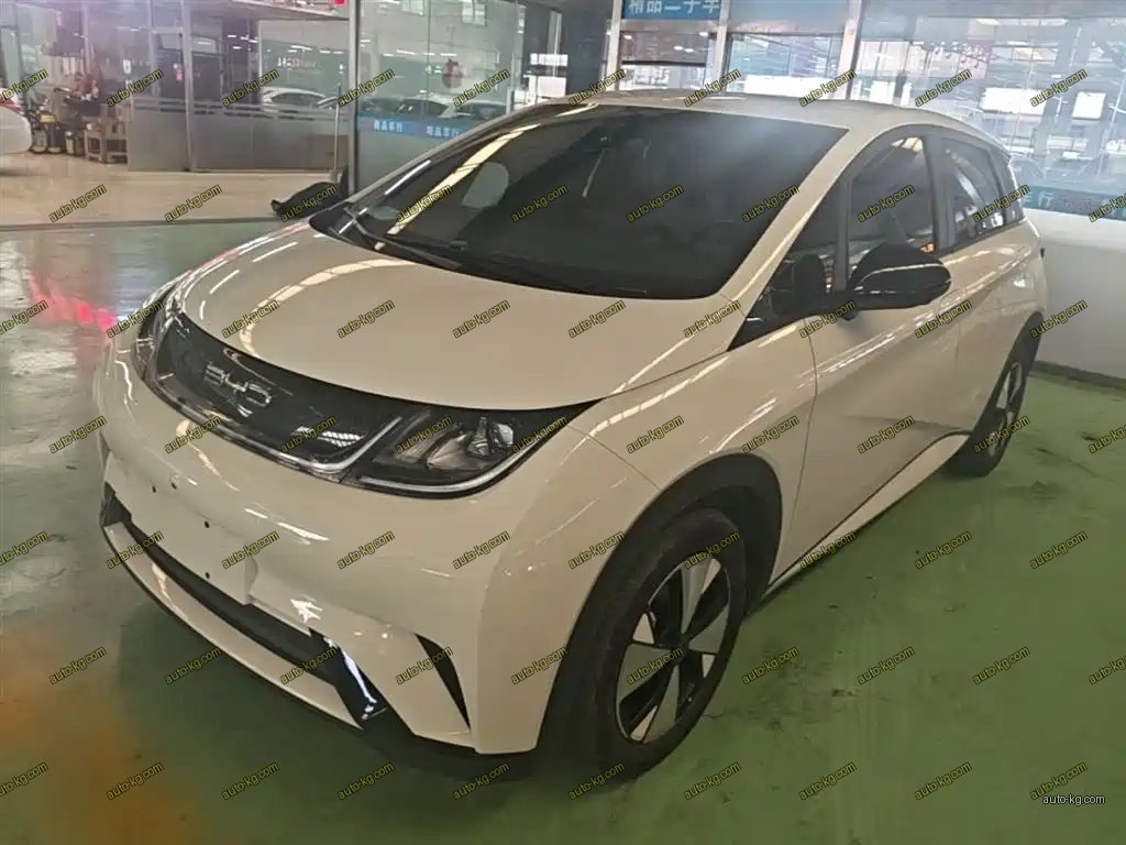 BYD Dolphin 2024