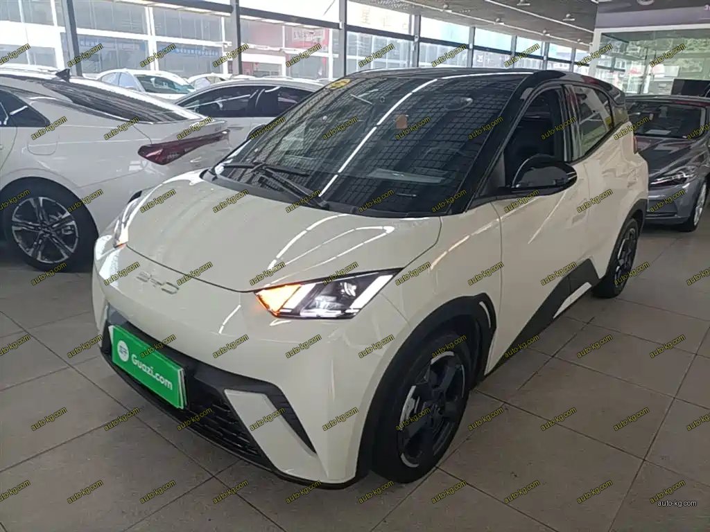 BYD Seagull 2023