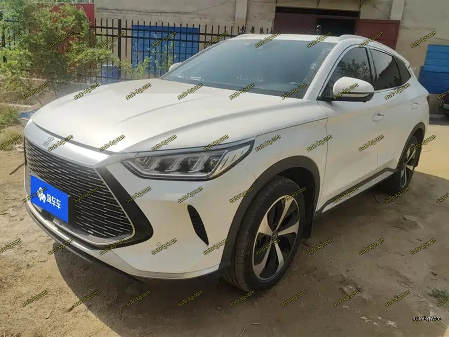 BYD PLUS New Energy 2022