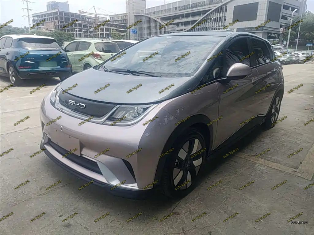 BYD Dolphin 2023