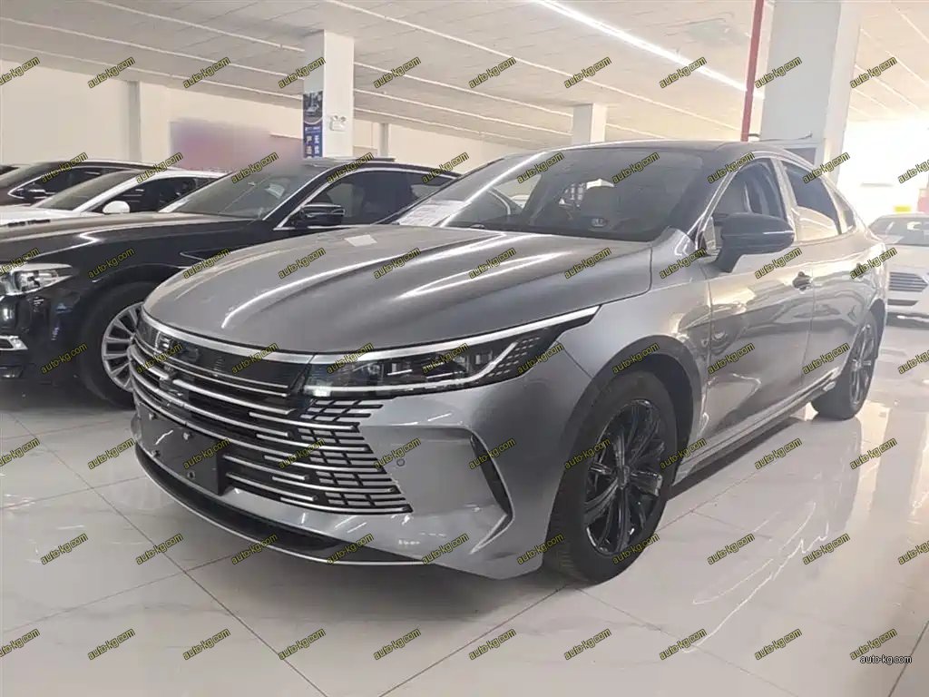 BYD Destroyer 05 2023