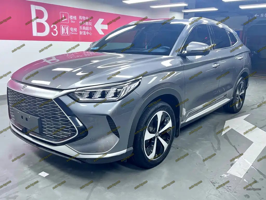 BYD PLUS New Energy 2022