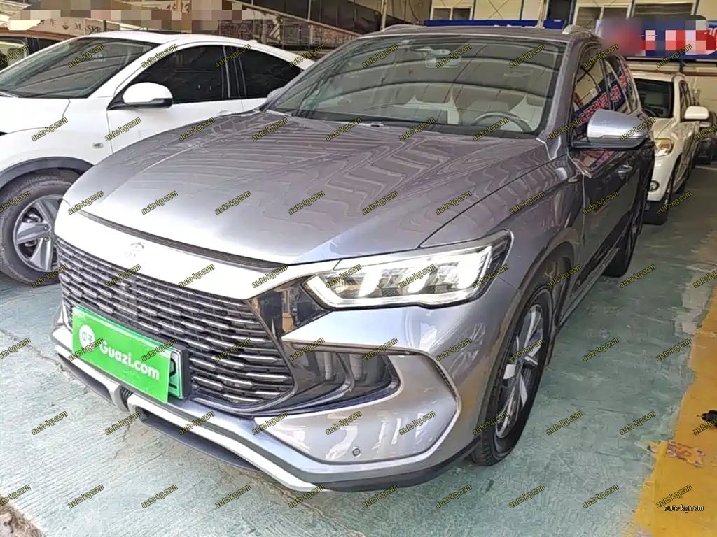 BYD Pro New Energy 2023
