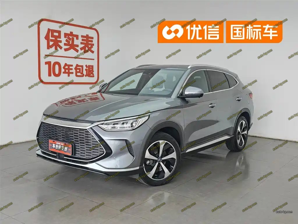 BYD PLUS New Energy 2023