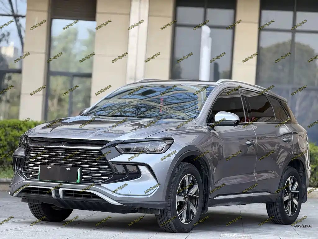 BYD Pro New Energy 2024