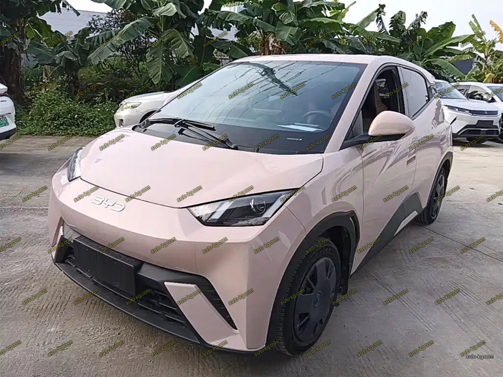 BYD Seagull 2024