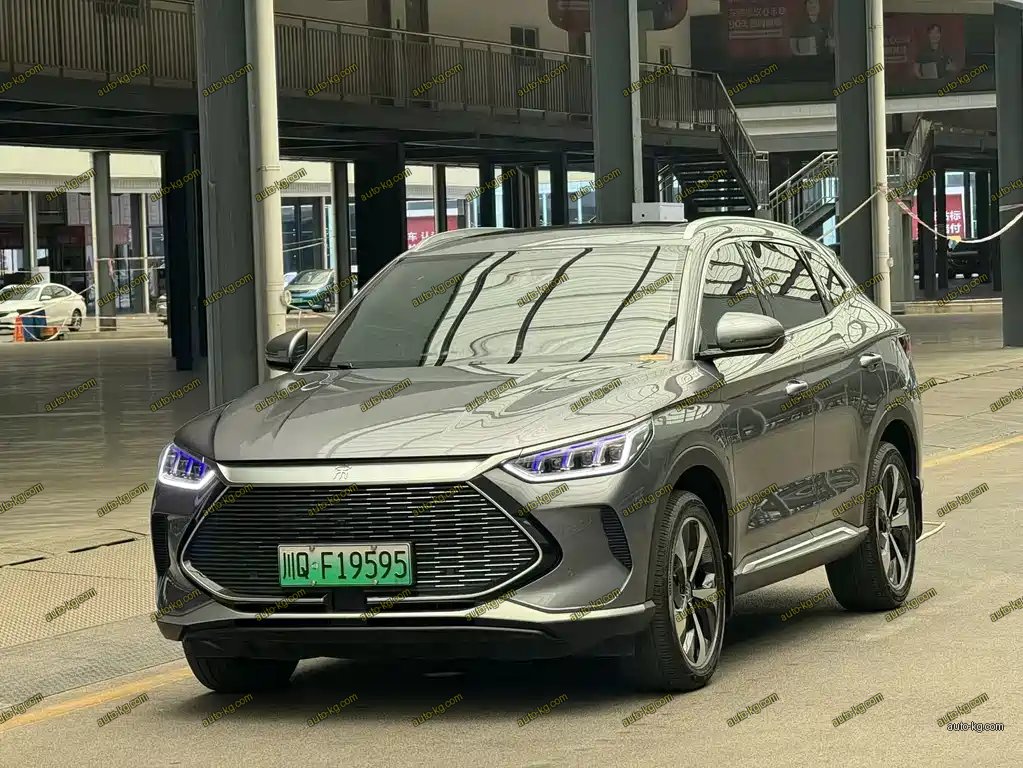 BYD PLUS New Energy 2022