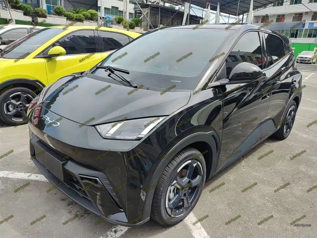 BYD Seagull 2023