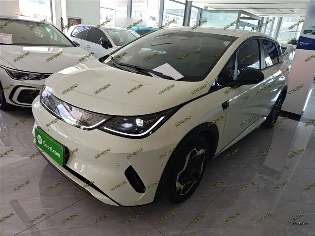 BYD Dolphin 2025
