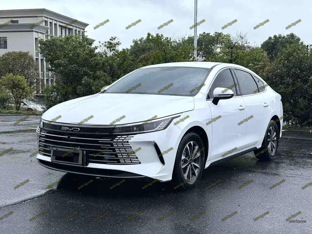 BYD Destroyer 05 2024