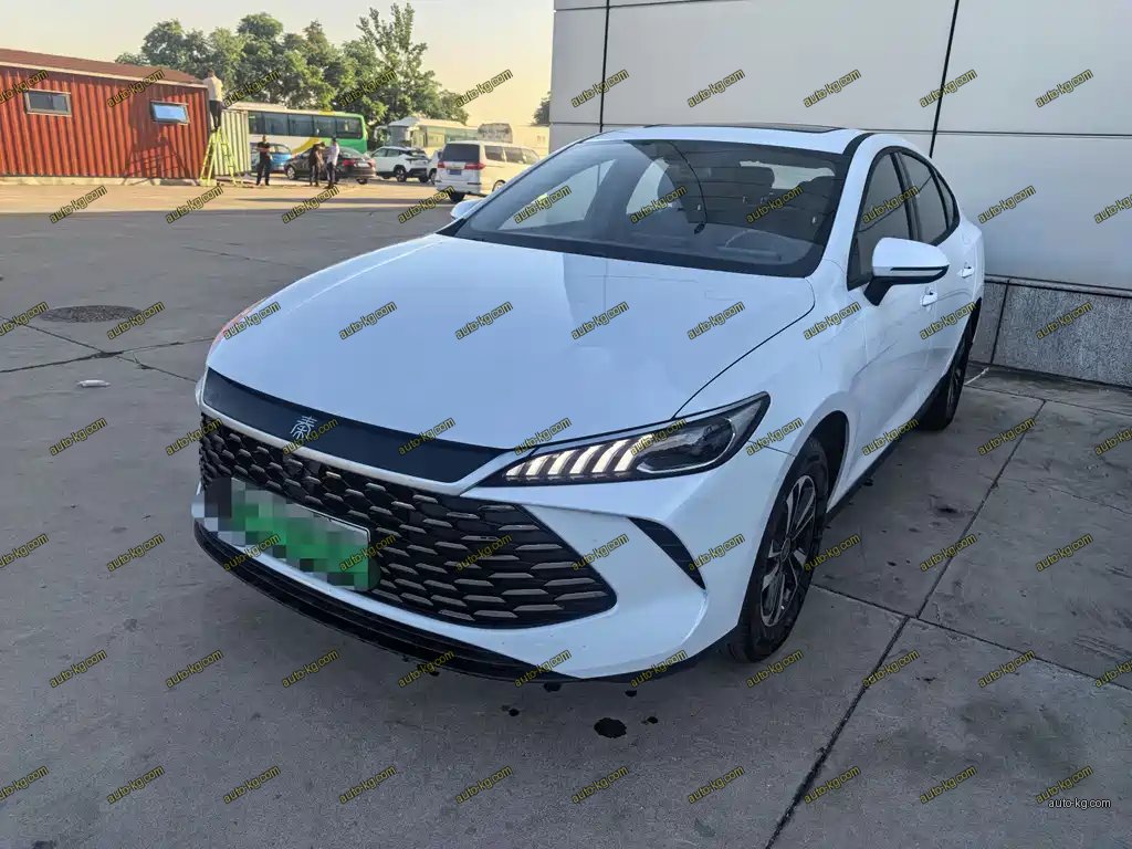 BYD Qin PLUS 2026