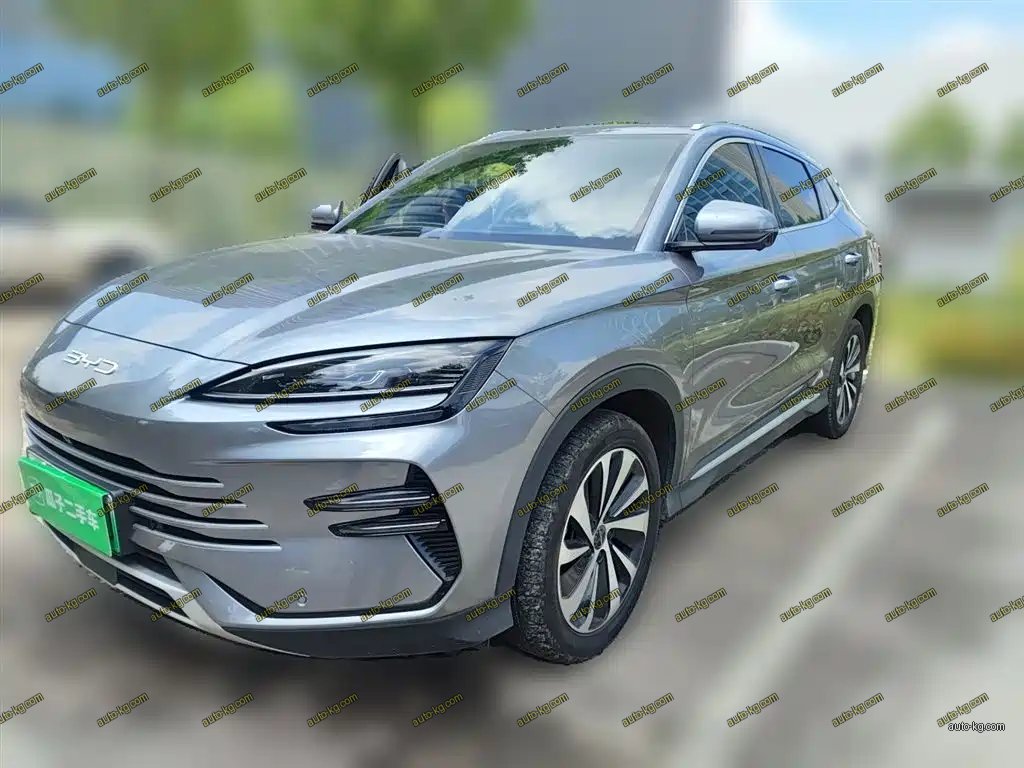 BYD PLUS New Energy 2023