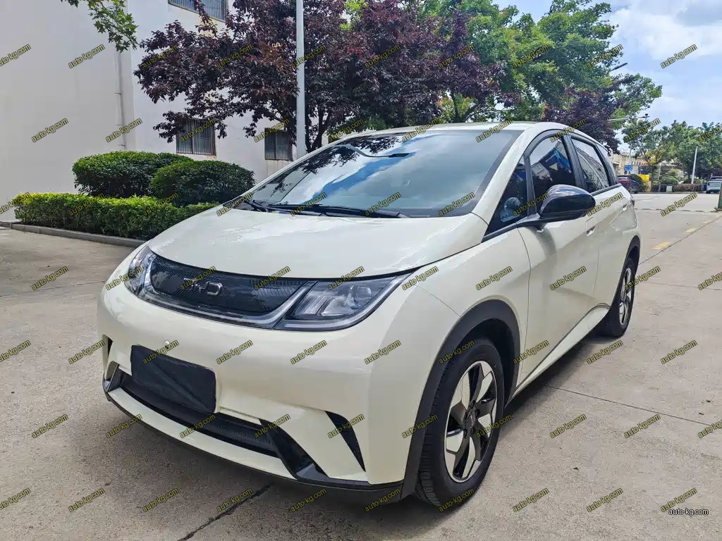 BYD Dolphin 2026