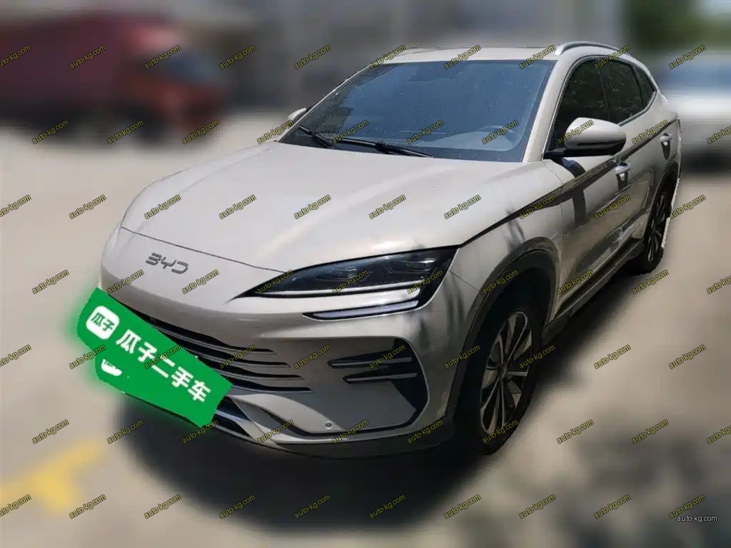 BYD PLUS New Energy 2024