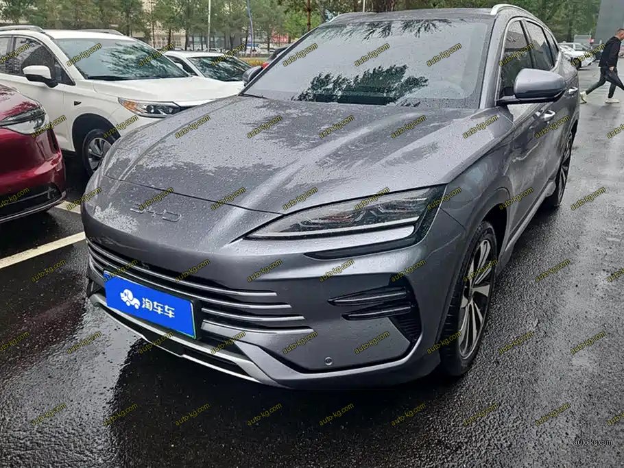 BYD PLUS New Energy 2023